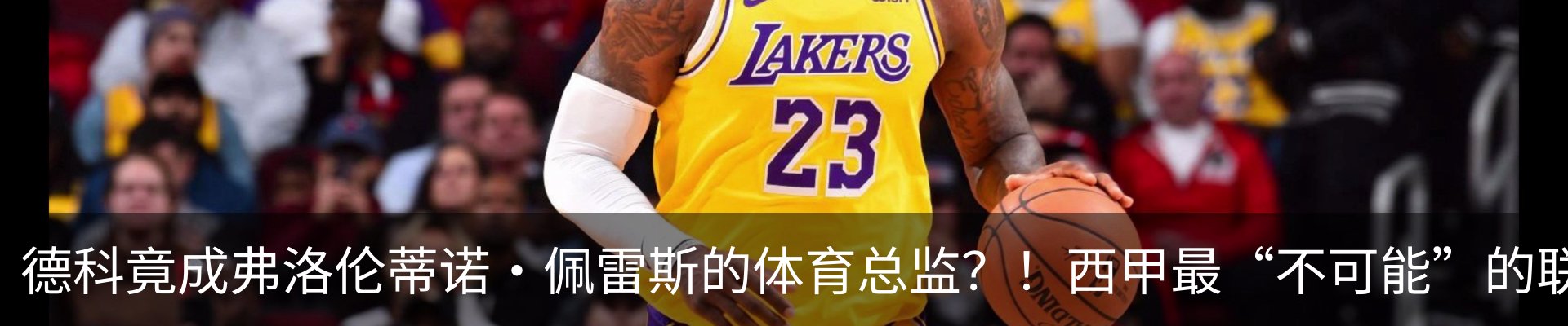 最新动态